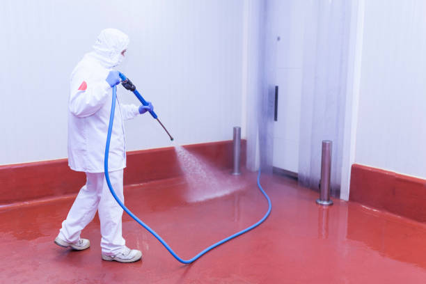 Best Concrete Surface Cleaning in Braddock Hills, PA